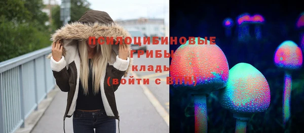 МДПВ Алексеевка