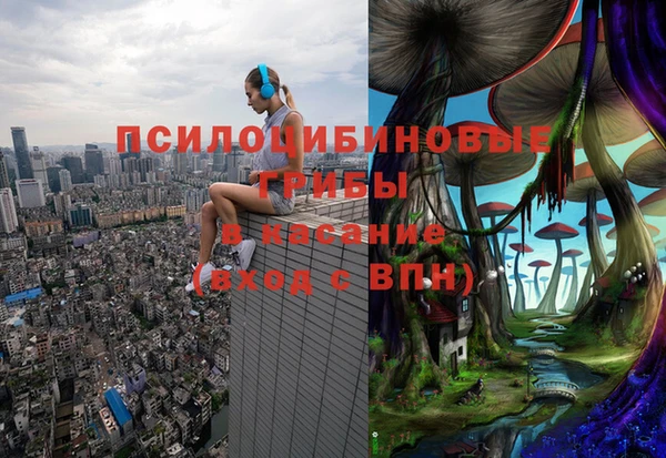 скорость Алзамай