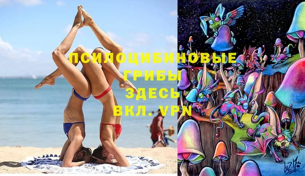 скорость Алзамай