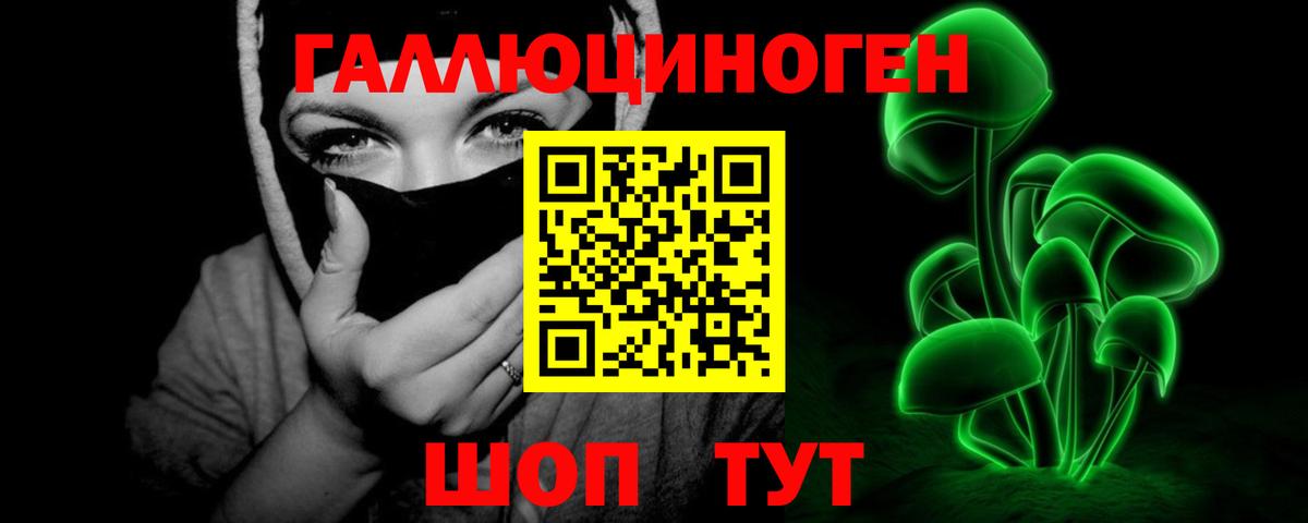 Североуральск  Галлюциногенные грибы Cubensis  Вход с VPN 